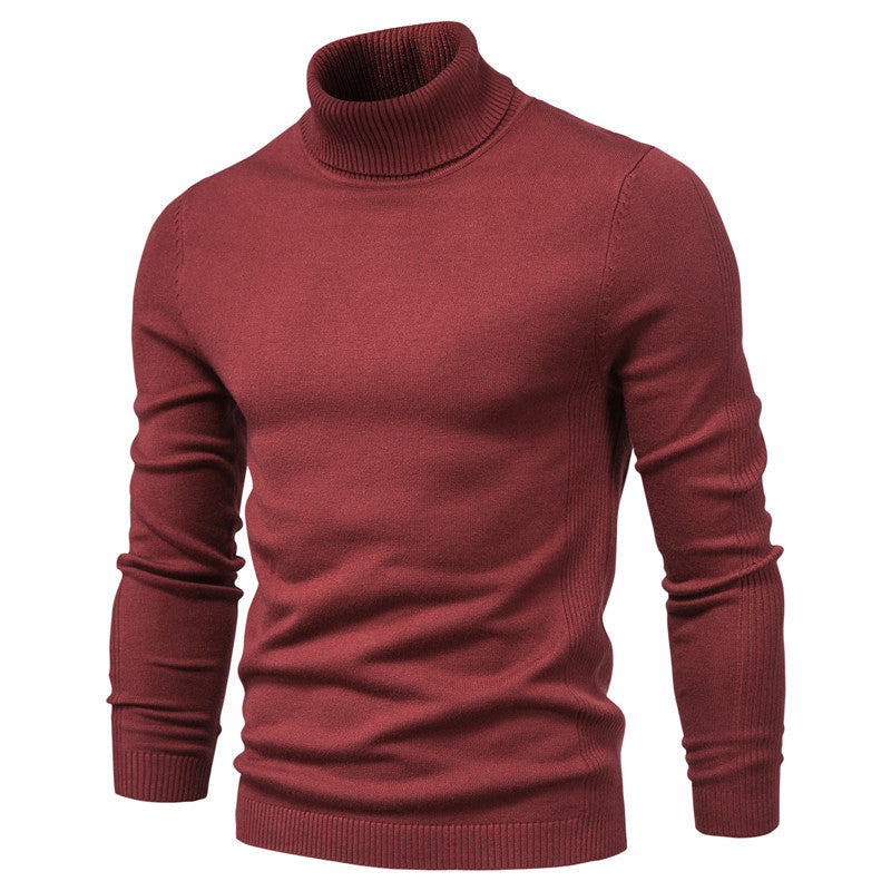 Pierre | Pull chaud à col roulé pour hommes