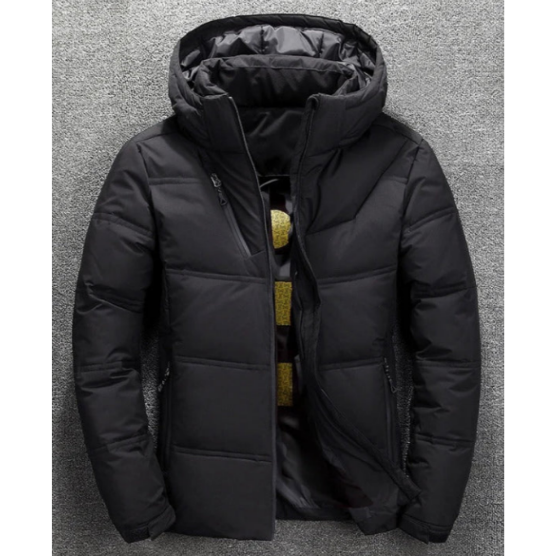 Eldar | Veste d’hiver rembourrée avec capuche pour hommes