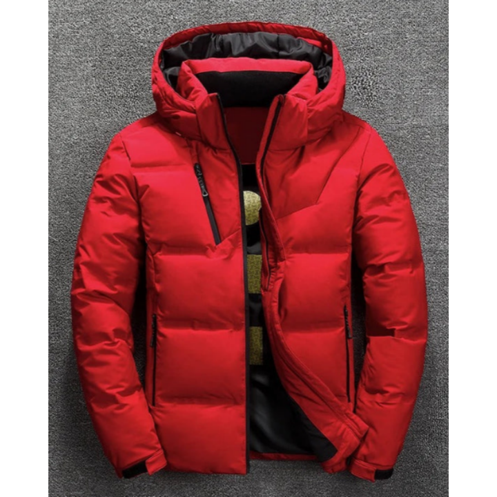 Eldar | Veste d’hiver rembourrée avec capuche pour hommes